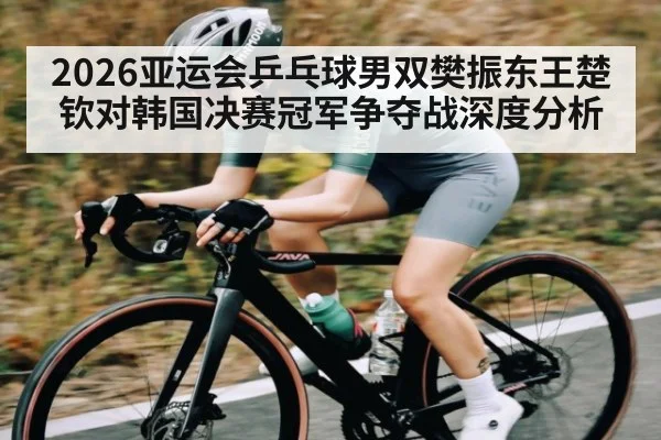 2026亚运会乒乓球男双樊振东王楚钦对韩国决赛冠军争夺战深度分析